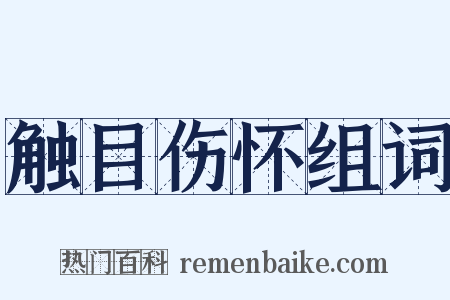 触目伤怀组词是什么意思的图片
